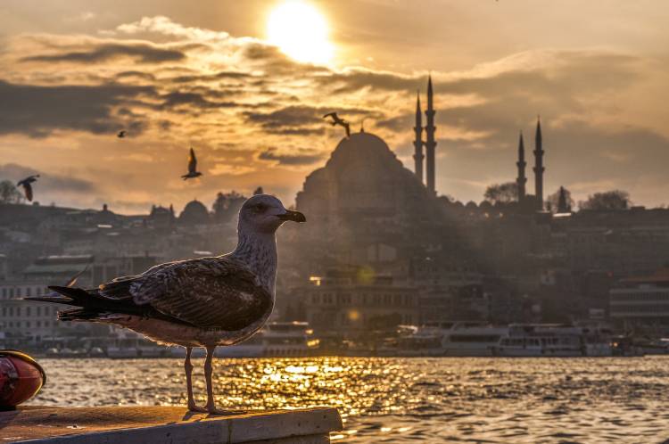 istanbul-yasam-