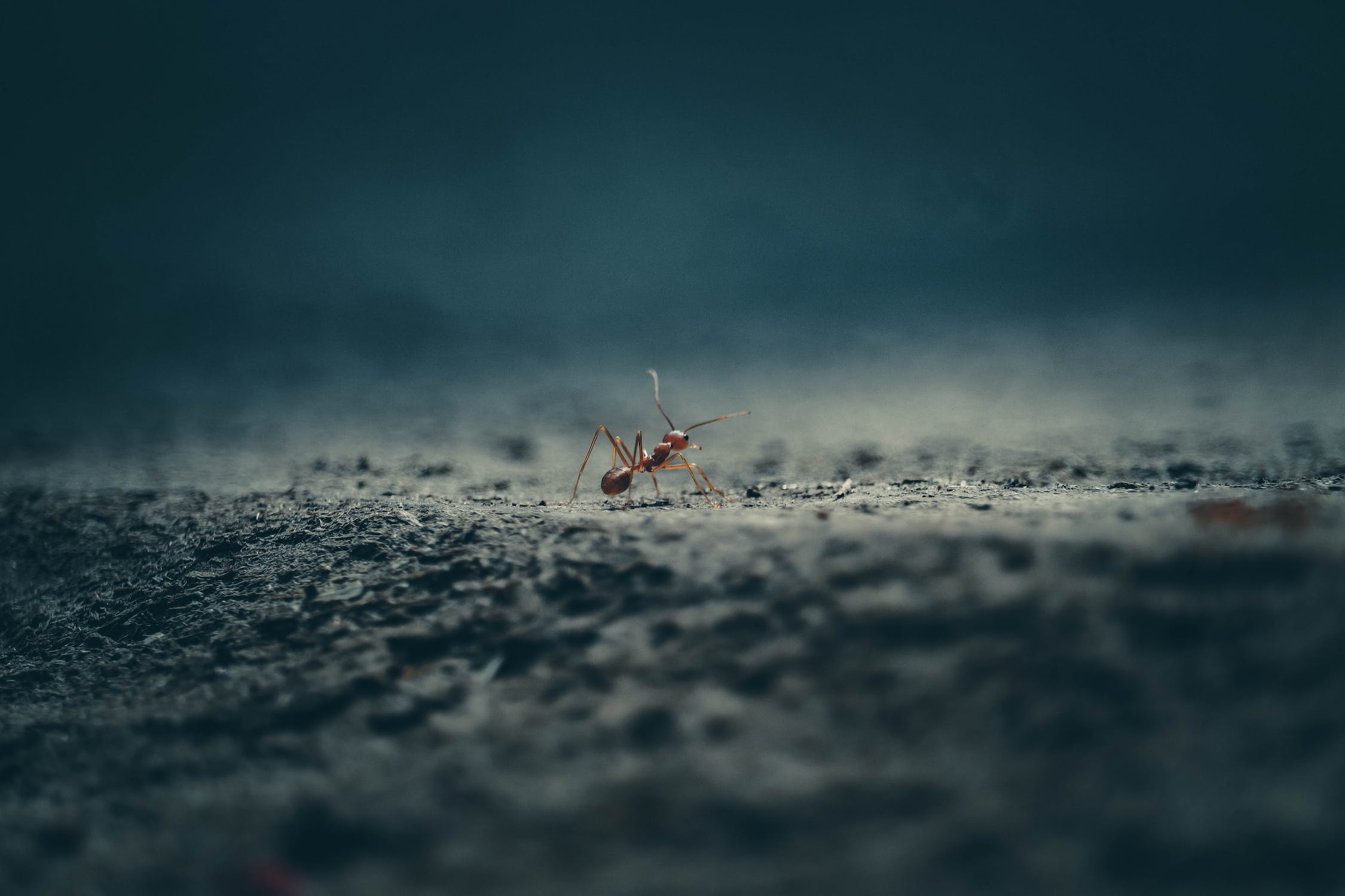 pexels-photo-7834617