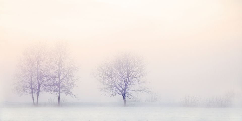 winter-landscape-2571788__480