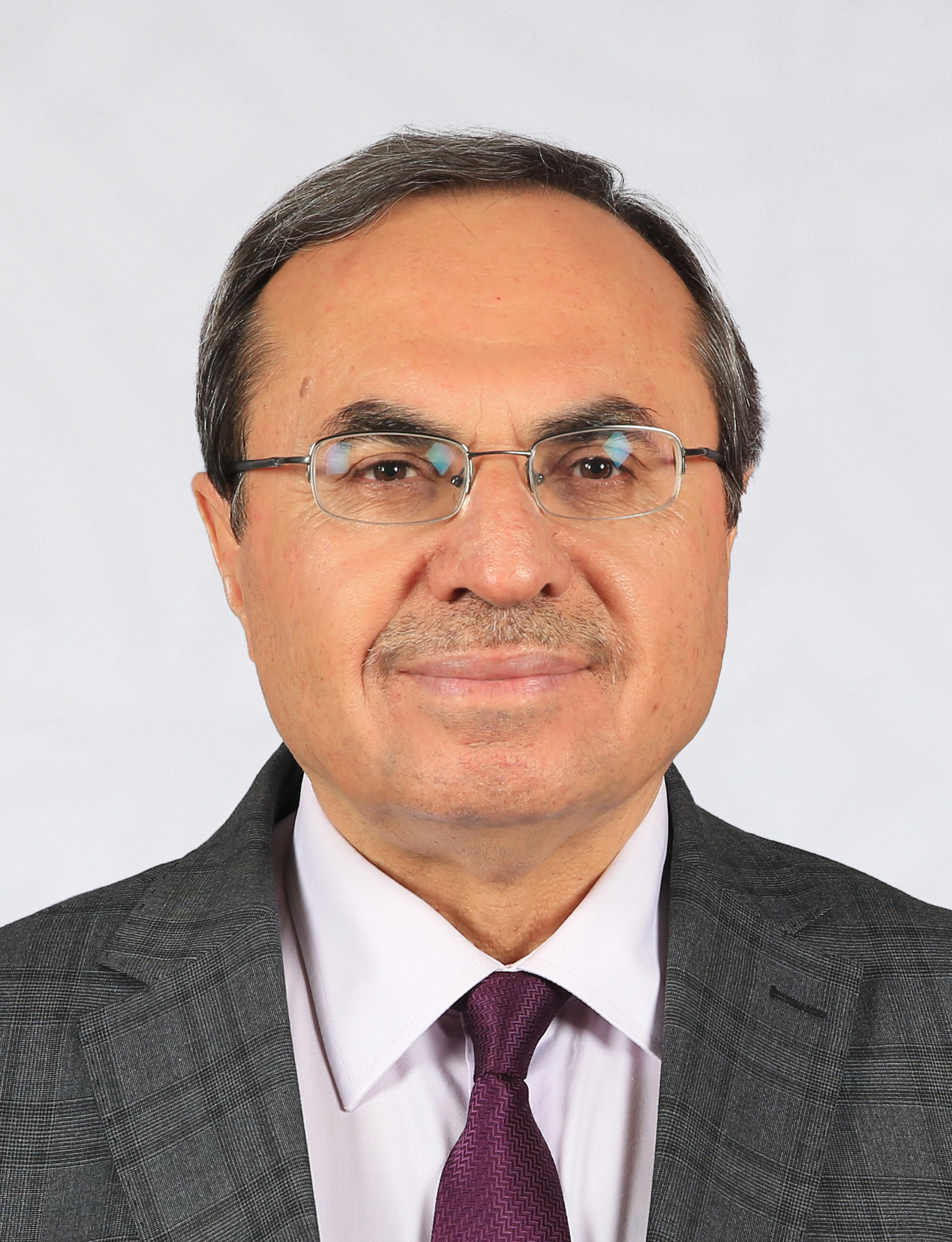 Ramazan Altıntaş, Prof. Dr.