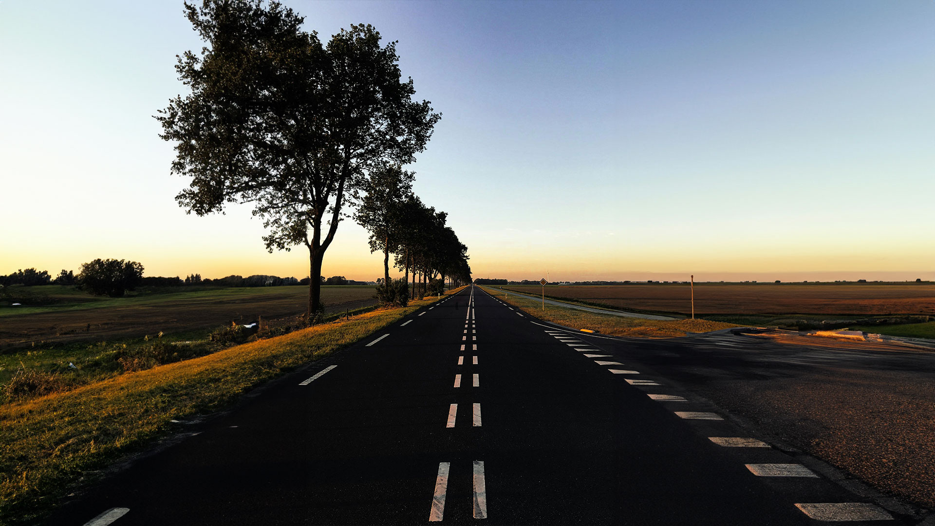 Yol Ayrımı