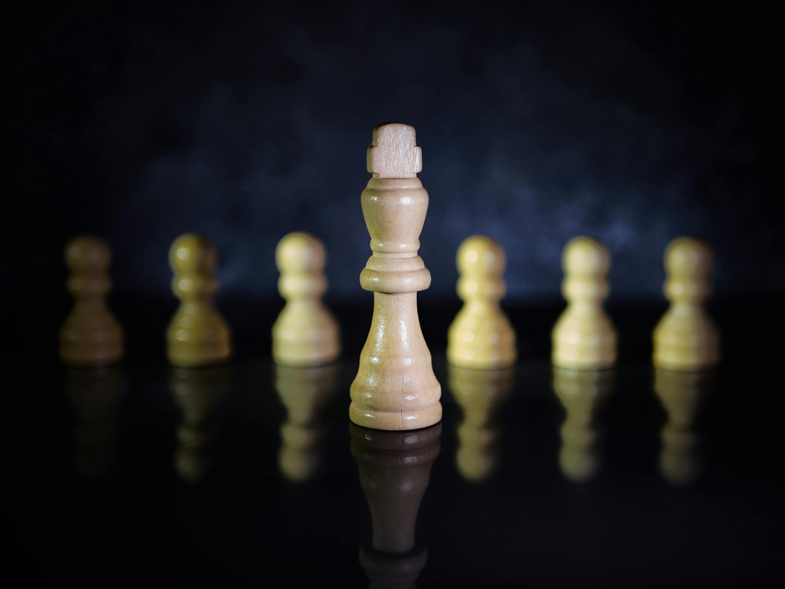 Dava ve Lider 6: Davasını Önceleyen Lider