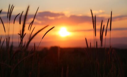 sunset-3416768_1280
