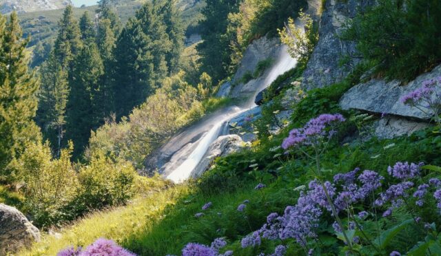 waterfall-7344396_1280