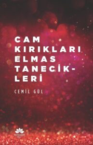 Resim10