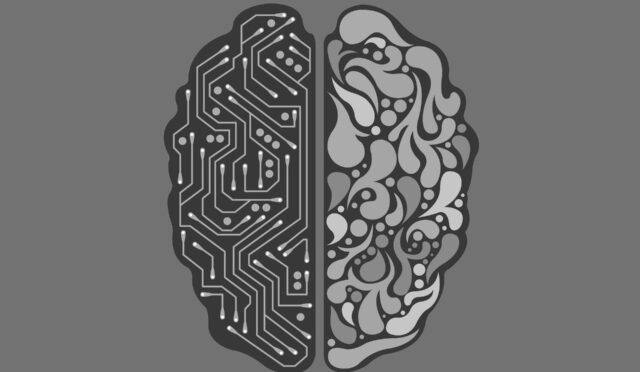 Zekânıza Güvenin!