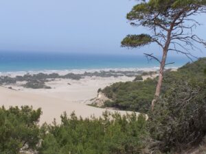 Patara_Dünen (1)
