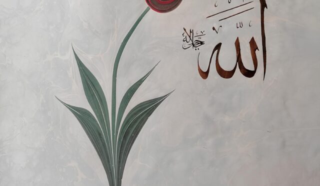 WhatsApp Image 2026-01-29 at 23.27.55 (1)