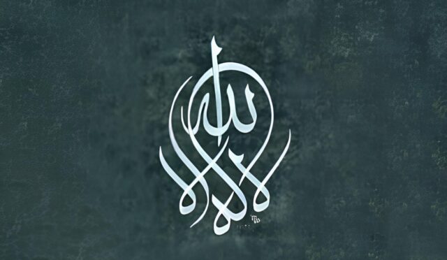 WhatsApp Image 2026-02-07 at 00.46.45 (1)