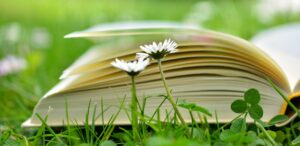 congerdesign-a-book-2304389_1920