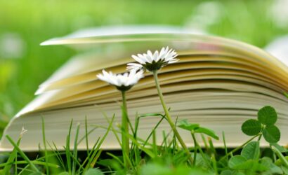 congerdesign-a-book-2304389_1920