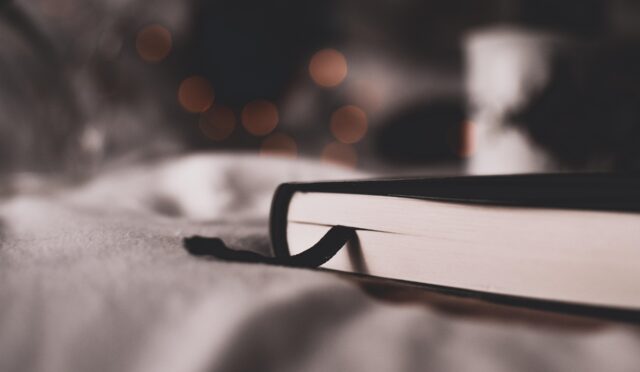 fotografierende-a-book-2598594_1920