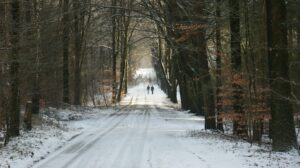 fotorieth-man-8514870_1920