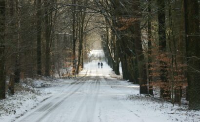 fotorieth-man-8514870_1920