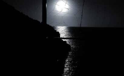 halef-firewood-929065_1920