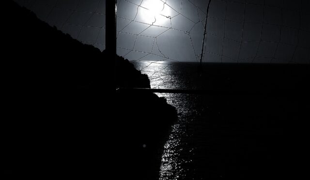 halef-firewood-929065_1920