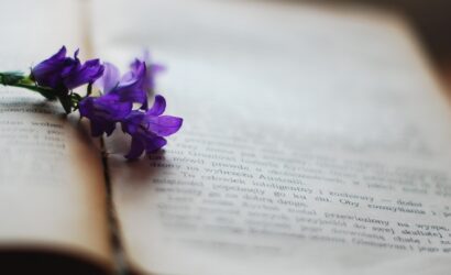 katrina_s-book-2378479