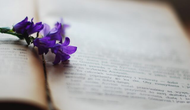 katrina_s-book-2378479