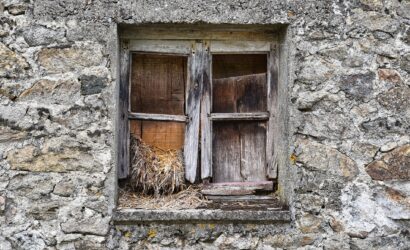 lecreusois-window-frame-8202075_1920