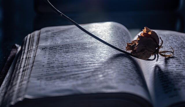 ri_ya-open-book-7637805_1920